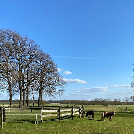 Ferienhof Westermann Waldblick Lähden Exterior foto