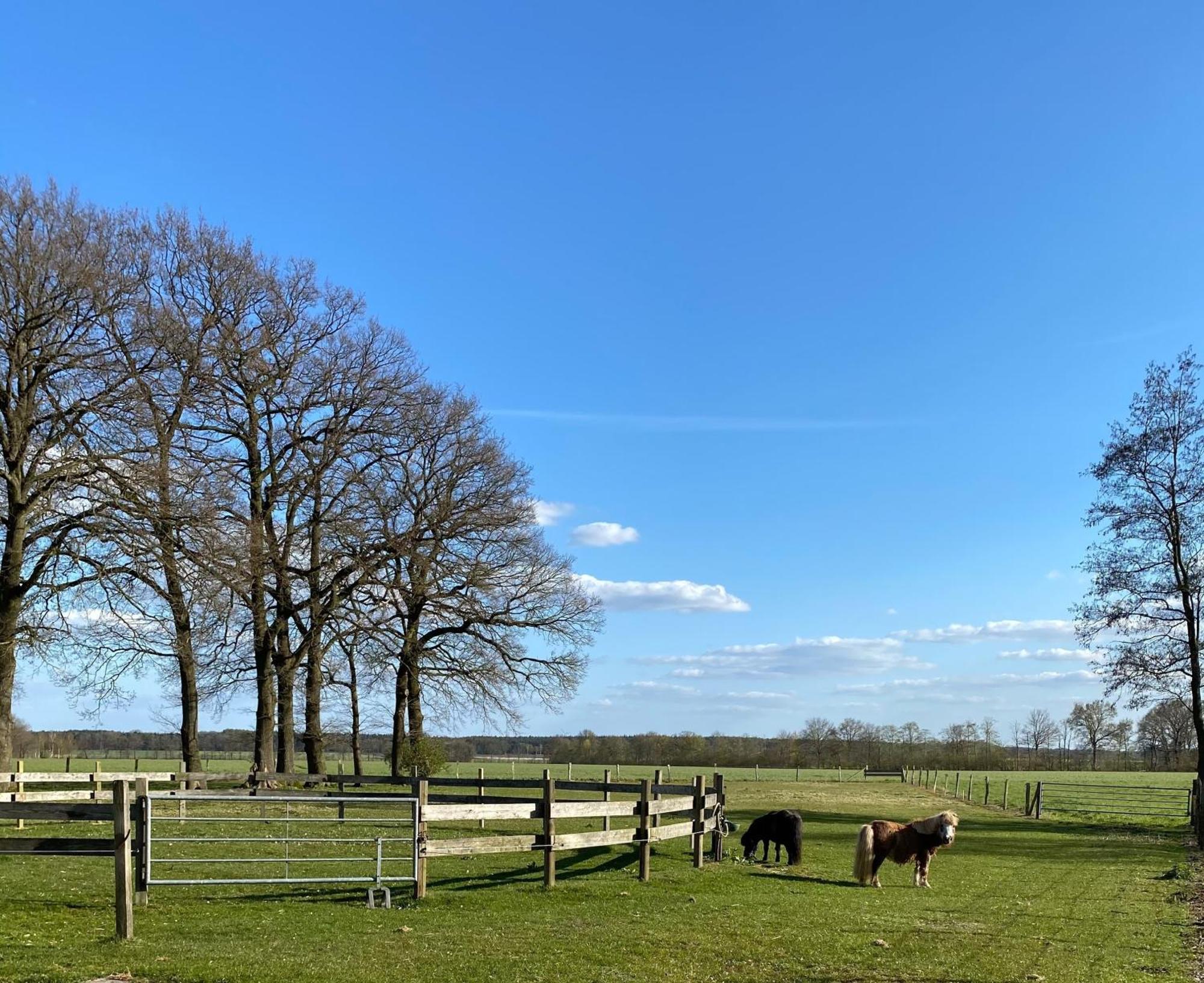 Ferienhof Westermann Waldblick Lähden Exterior foto